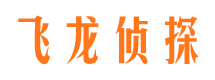 文山侦探公司